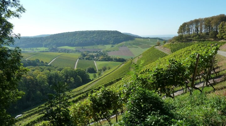 Weinwanderung | © DAV Sektion Altdorf