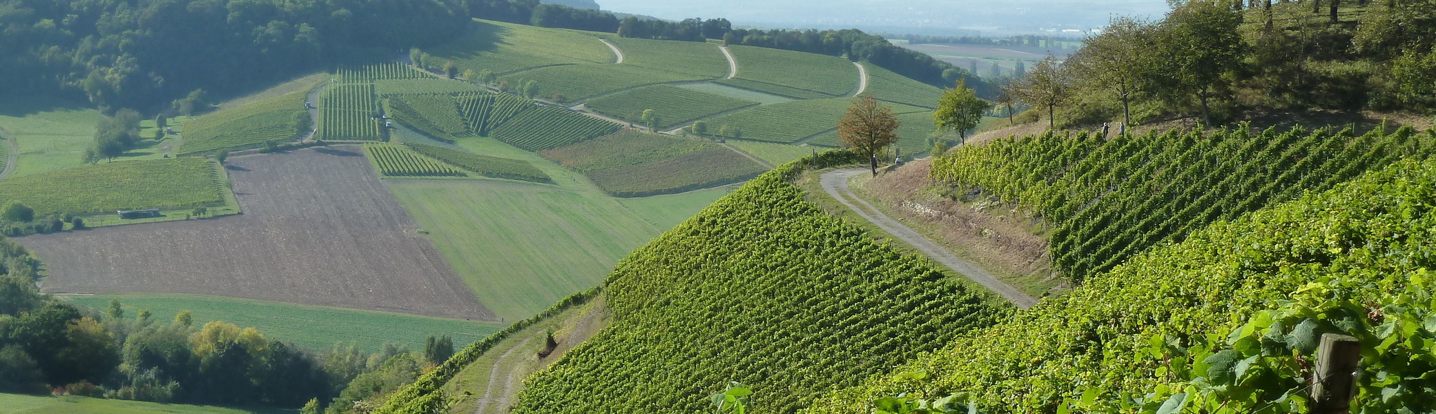 Weinwanderung | © DAV Sektion Altdorf